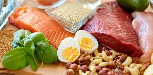 Food allowed on a protein diet